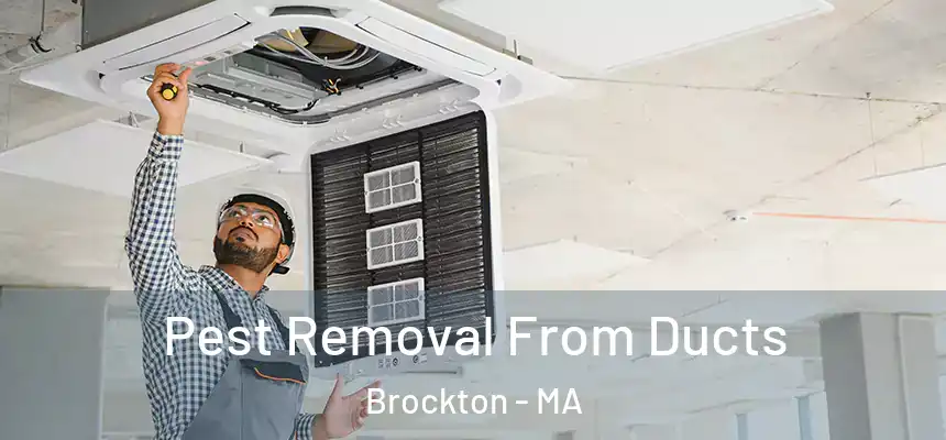 Pest Removal From Ducts Brockton - MA