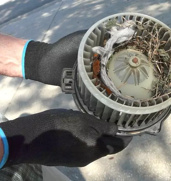 About Air Duct Rat Removal in Brockton, MA