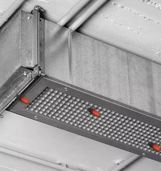 Affordable Insect Removal from Air Ducts in Brockton, MA