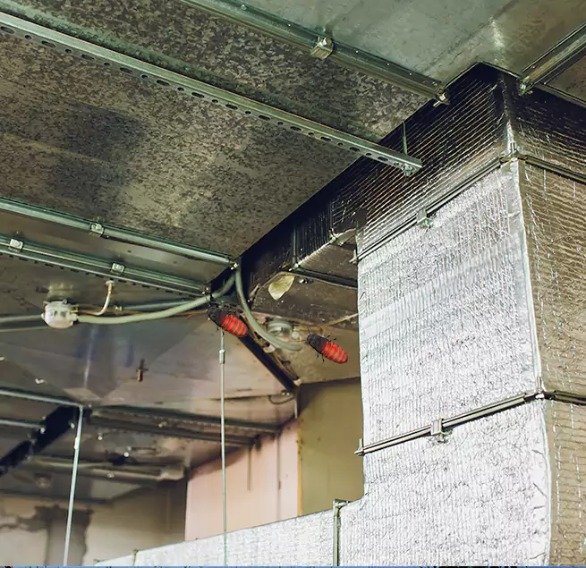 Why Homeowners & Businesses Trust Us in Brockton, MA?