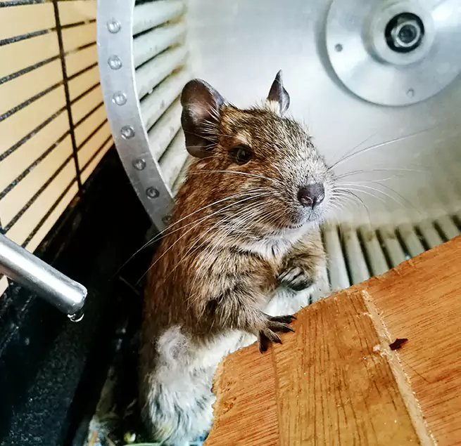 Why Homeowners & Businesses Trust Us Brockton, MA