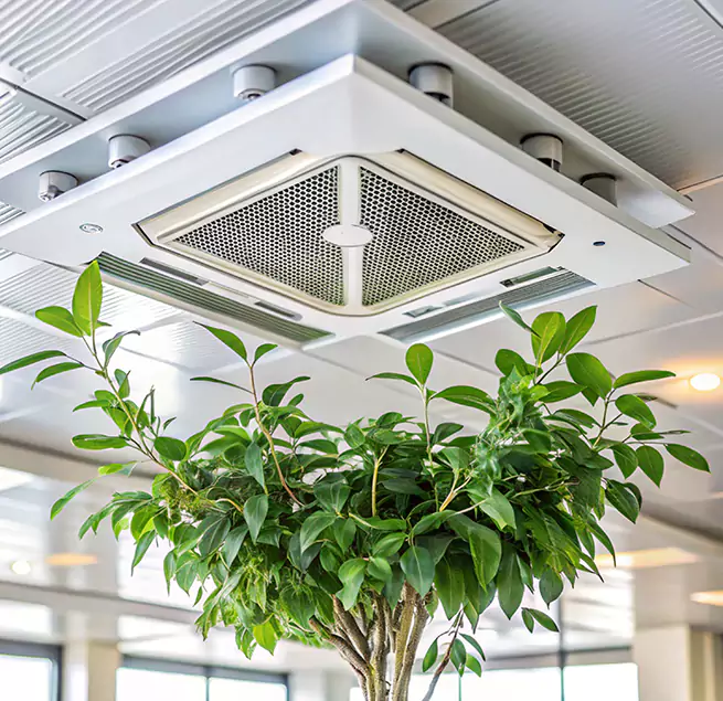 Why Homeowners & Businesses Trust Us in Brockton, MA